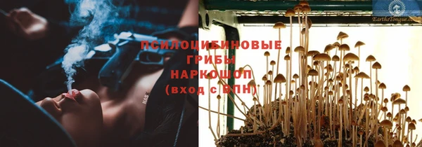 скорость Белокуриха