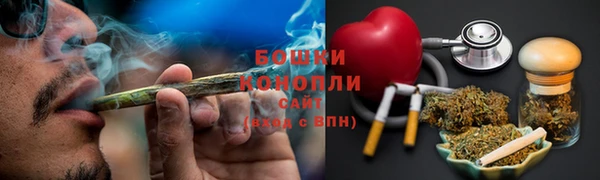 тгк Богданович