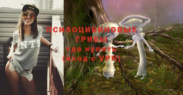 скорость Белокуриха